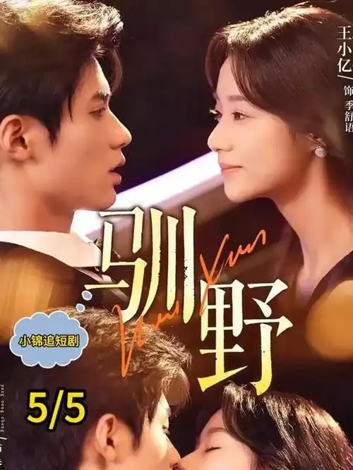 热播电视剧-星河长明